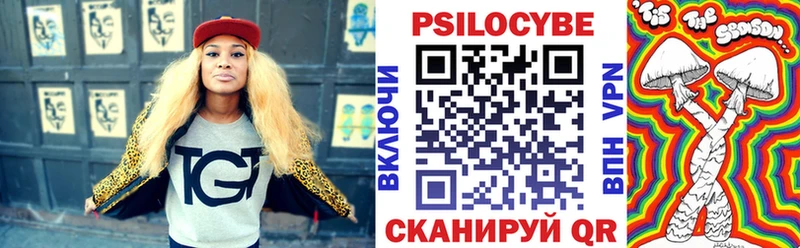 где купить наркотик  Нижневартовск  OMG   Псилоцибиновые грибы Magic Shrooms 